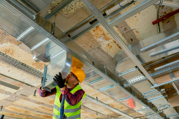 Best Residential HVAC services  in Stanton, MI